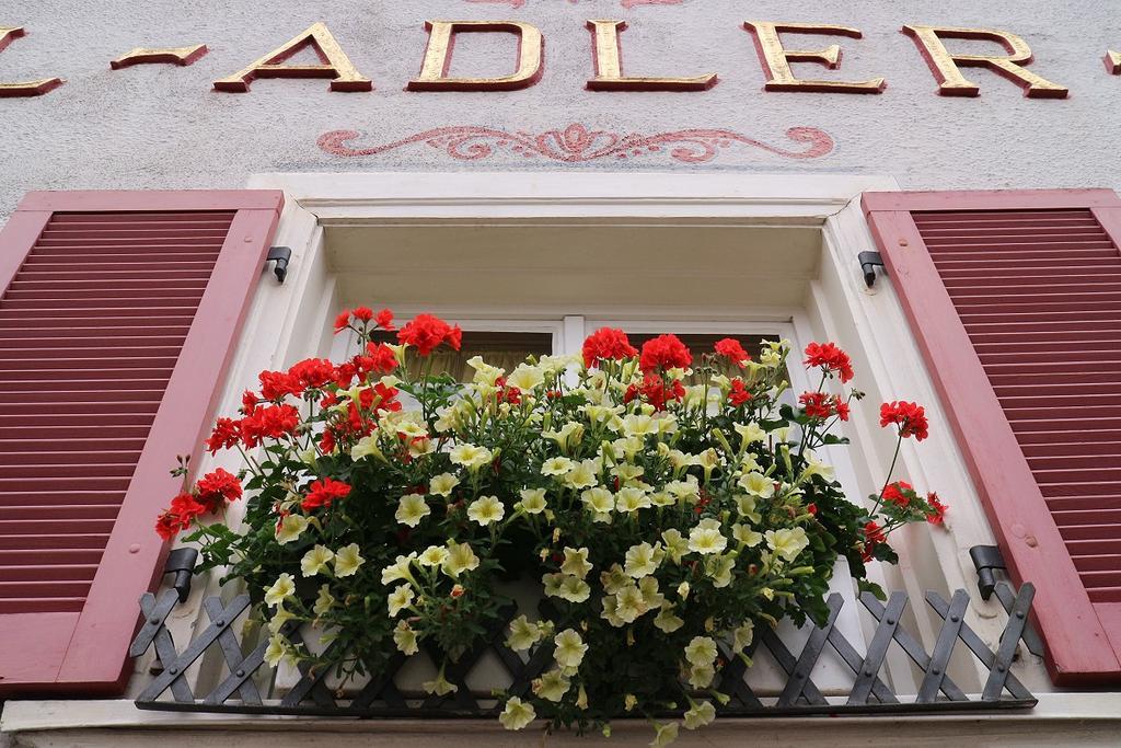Hotel Adler Post à Lenzkirch Extérieur photo